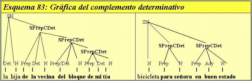 GRAMATICA - Los sintagmas no verbales: Cdet, Apos y CdelAdj
